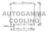 NISSA 21410EB71A Radiator, engine cooling